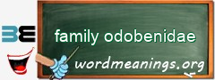 WordMeaning blackboard for family odobenidae